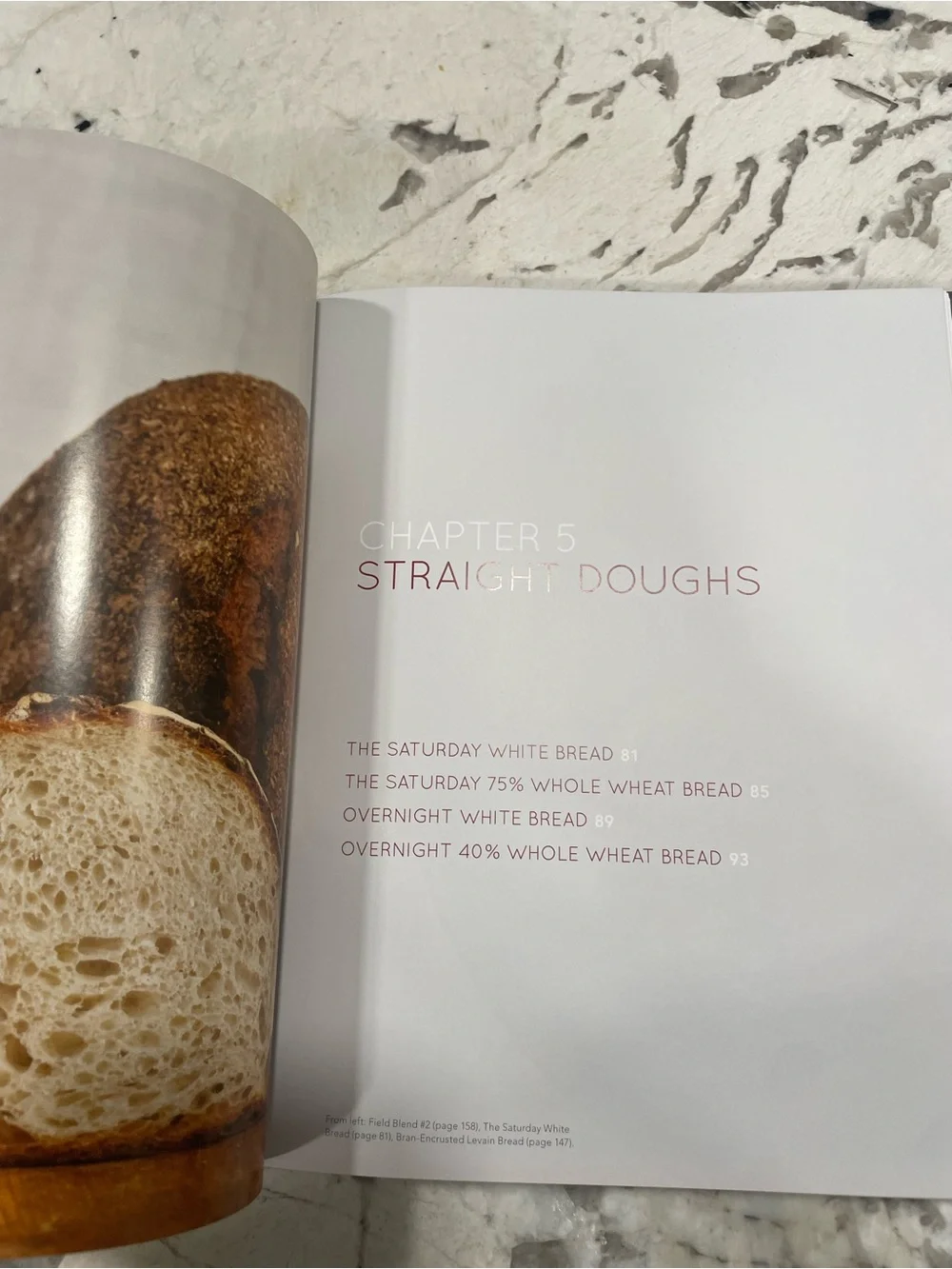 Flour Water Salt Yeast Cookbook Ken Forkish